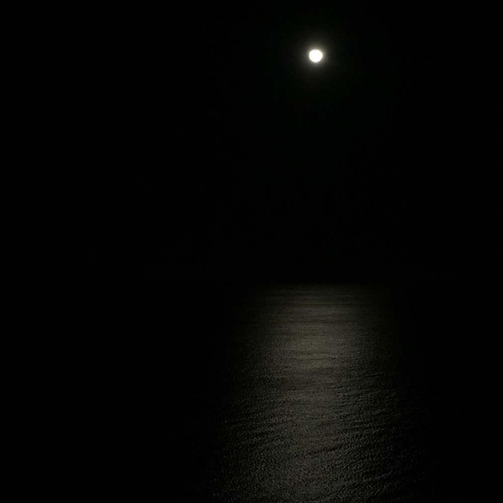 Meet your Posher, Sofia